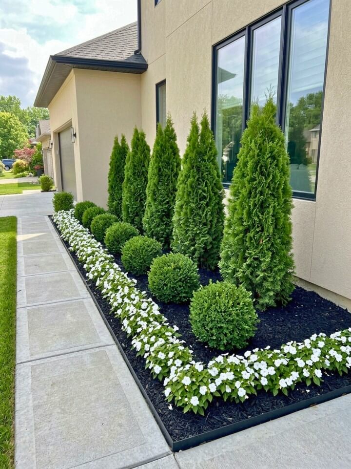 black mulch foundation planting with layered greenery