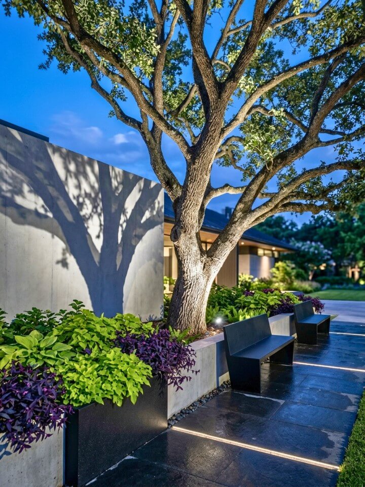 dramatic uplighting for outdoor trees
