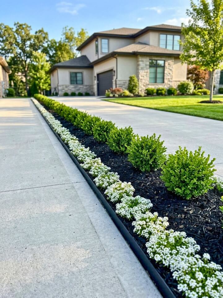 driveway border landscaping with black mulch and low shrubs