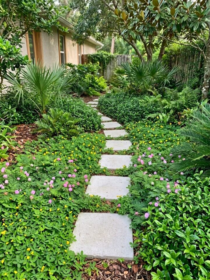 easy garden paths with ground covers
