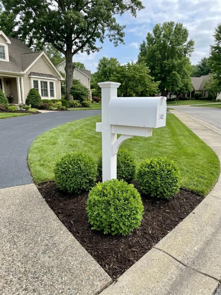 evergreen shrub mailbox landscaping corner