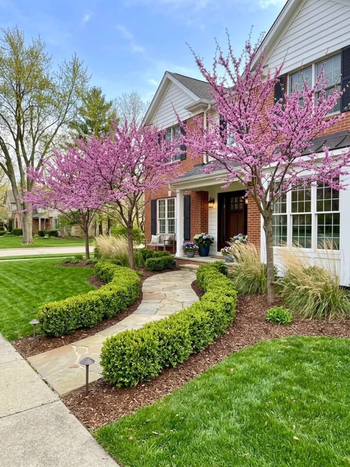 front yard layered landscaping for privacy