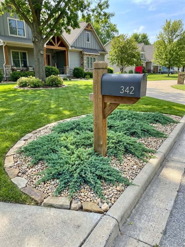 low growing juniper mailbox base