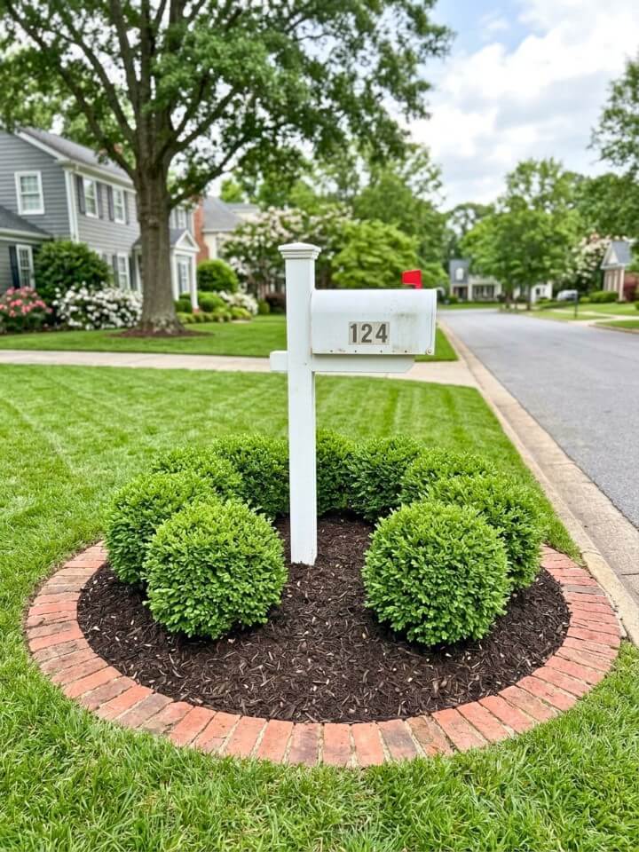 low maintenance boxwood mailbox border