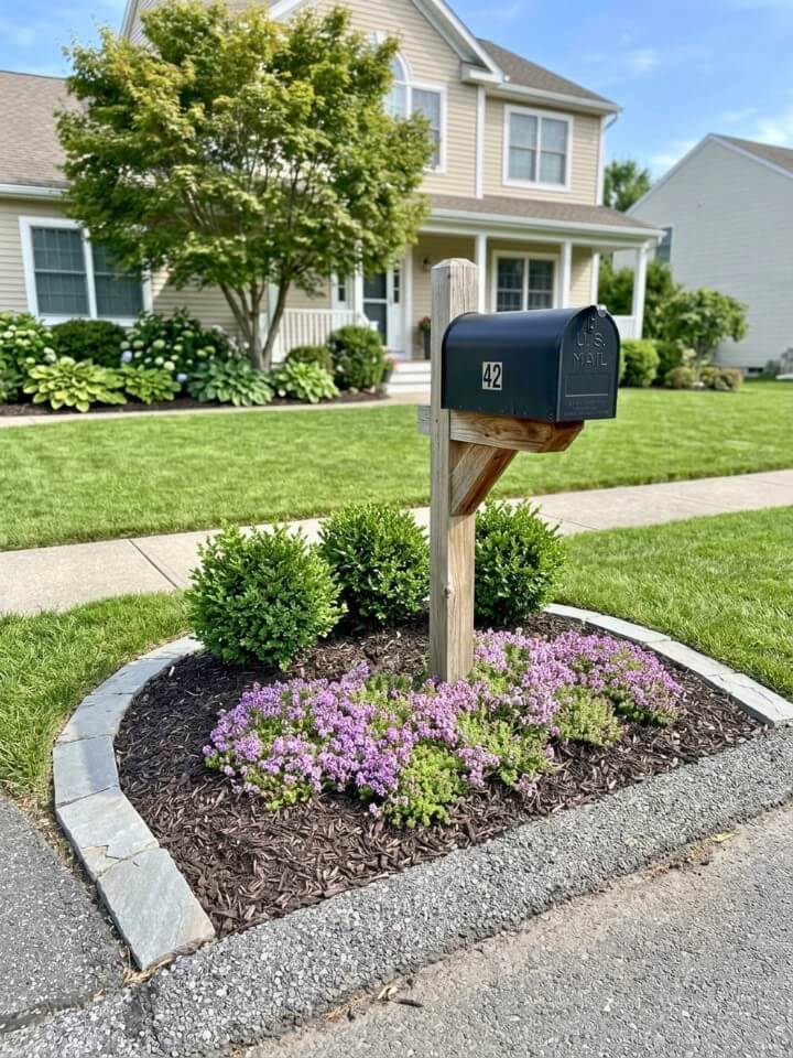 low maintenance no mow mailbox garden