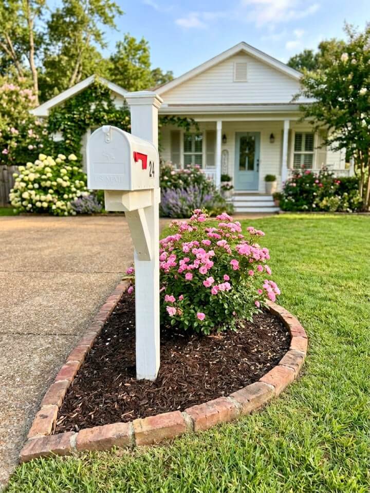 mini rose bush mailbox planting