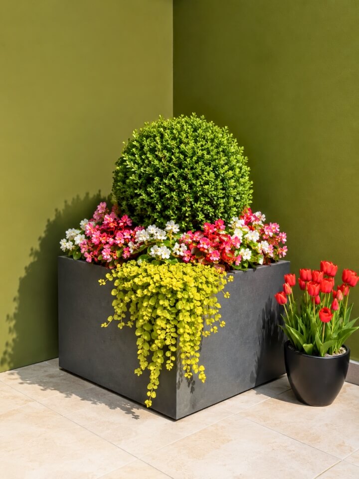modern outdoor corner planter