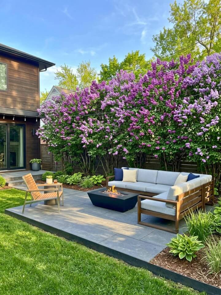 natural privacy screen with flowering shrubs