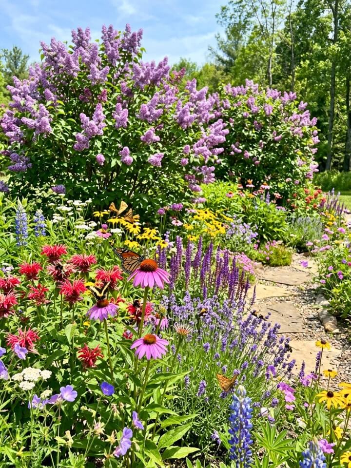pollinator garden with fragrant spring flowers