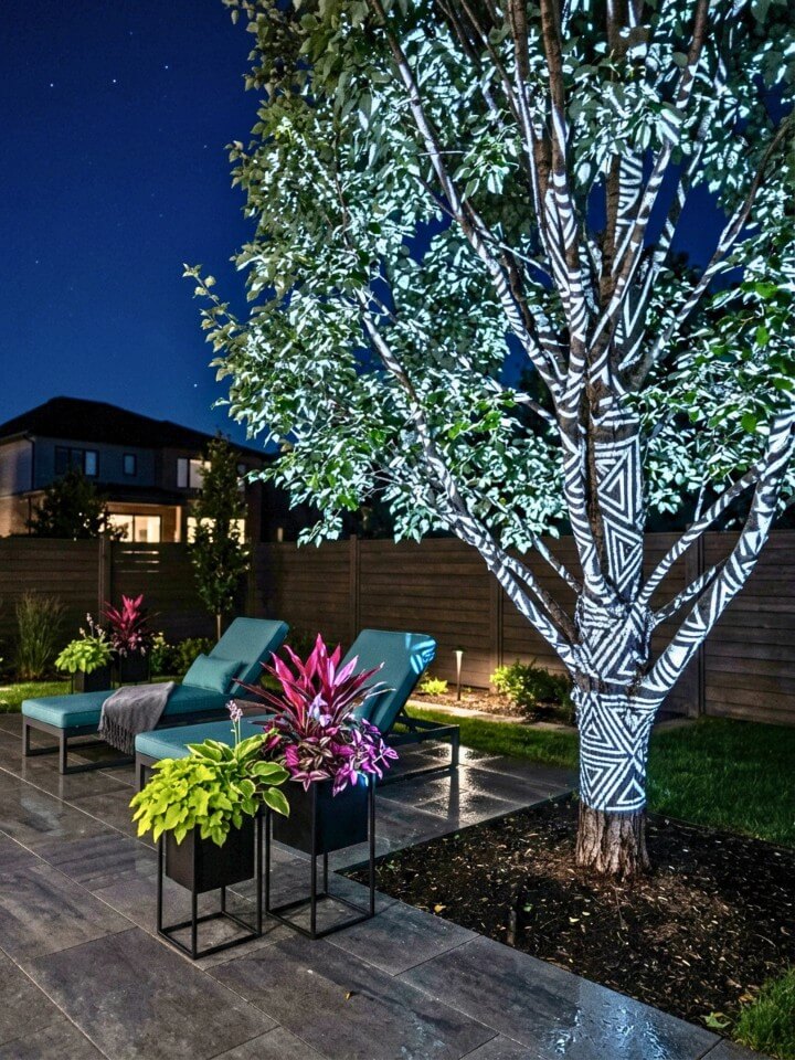 projection lights casting patterns on outdoor trees