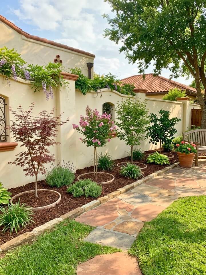 small trees to add height along a fence