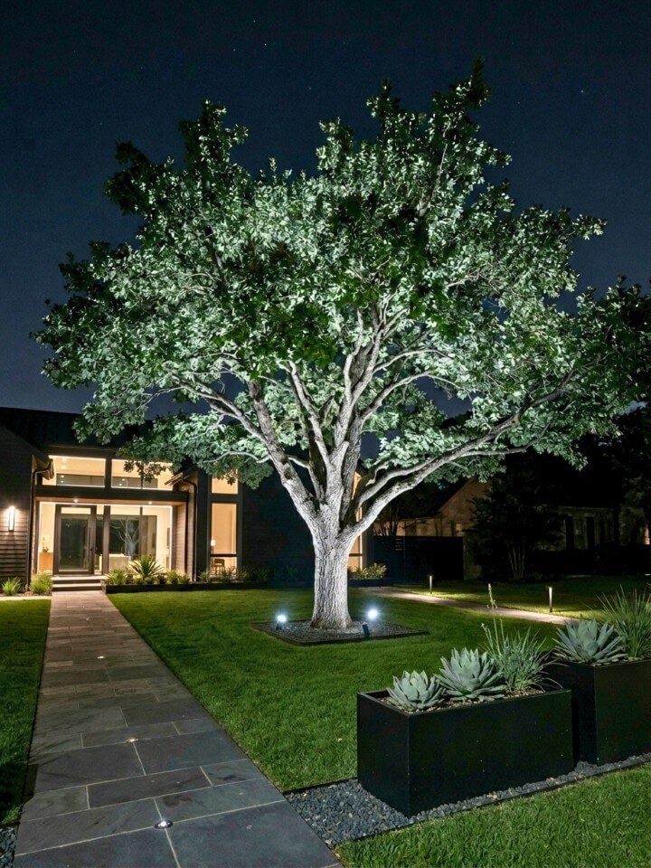 spotlights to highlight focal trees