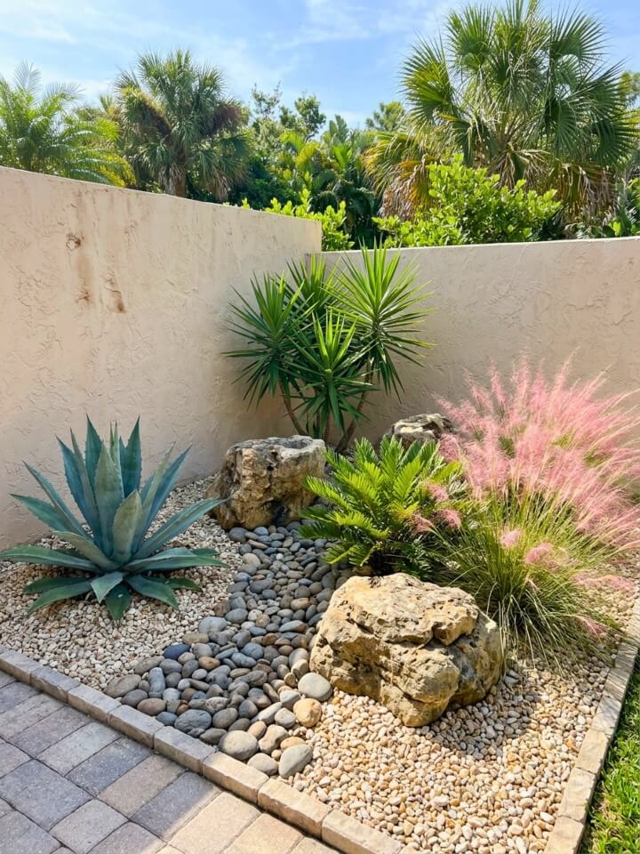 sunny rock garden with drought tolerant plants