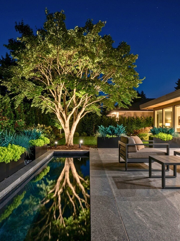 up lit water features near trees