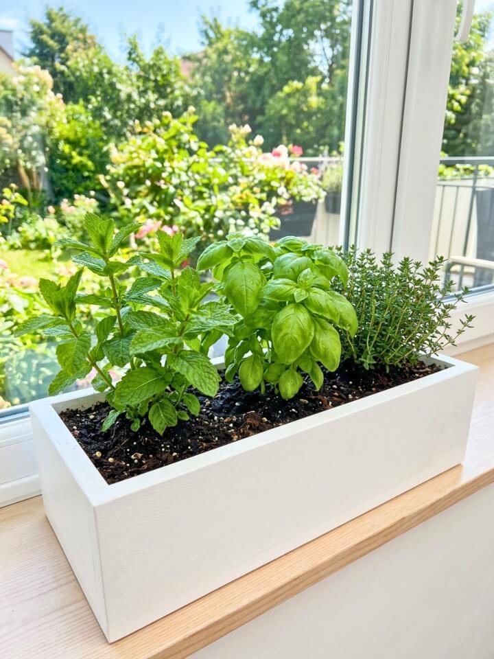 window box herb display ideas