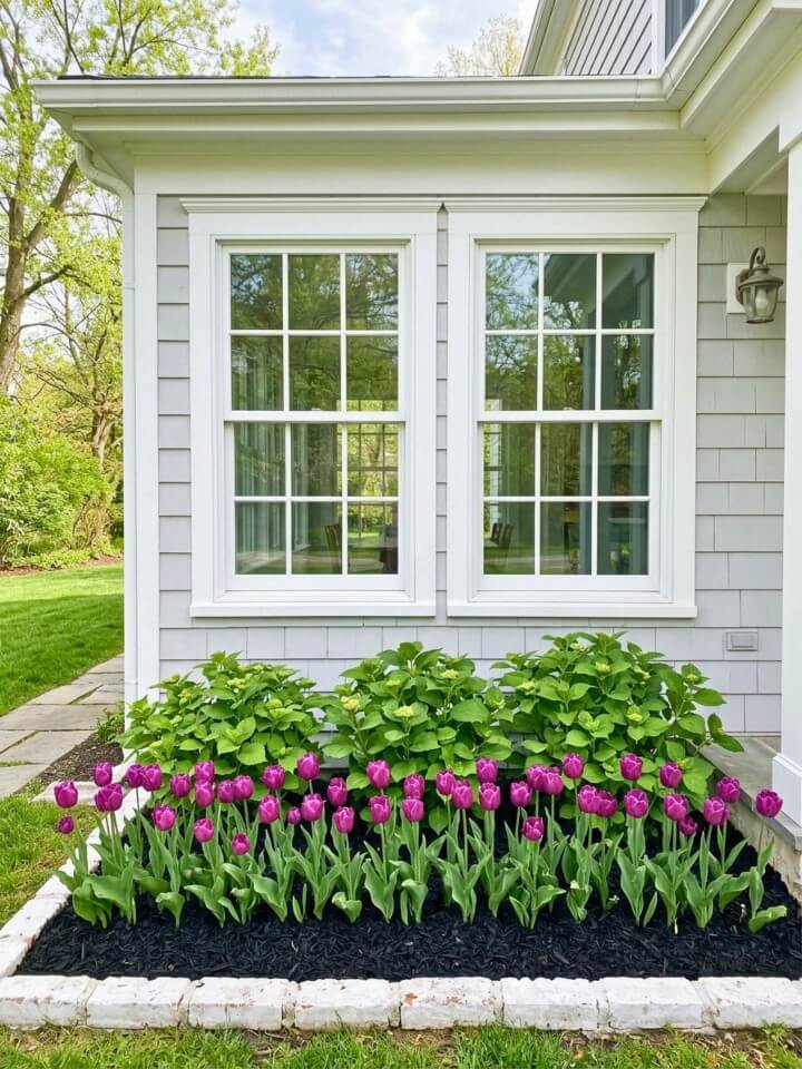 window garden bed with black mulch and seasonal blooms