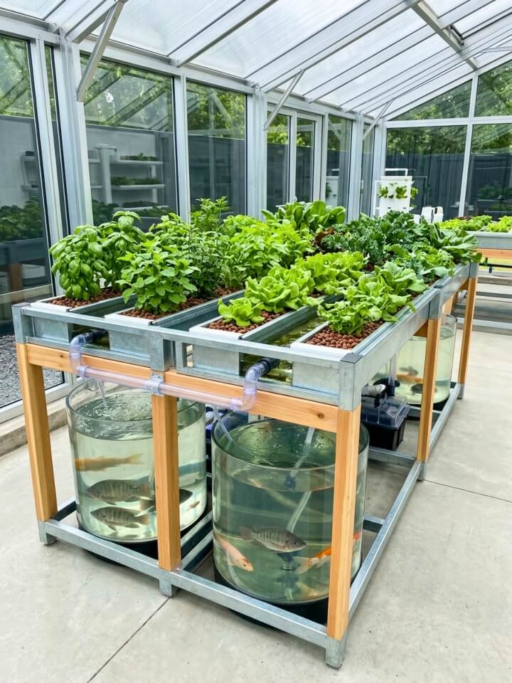 aquaponic garden design