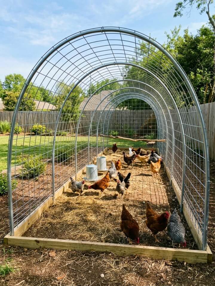 chicken run roof tunnel frame