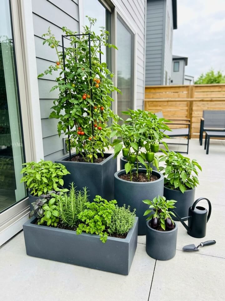 container garden for small spaces
