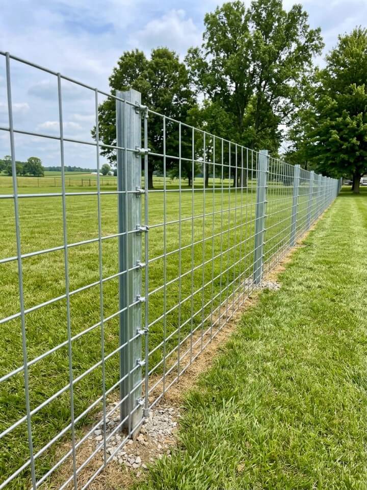 dog safe garden fence panels