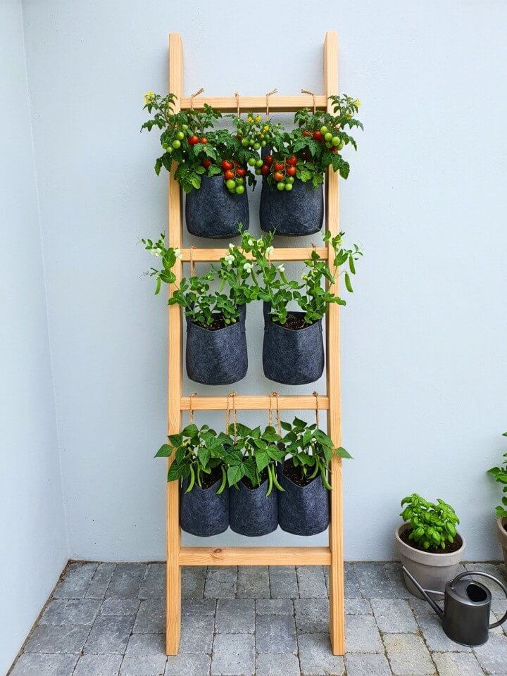 hanging grow bags on a ladder
