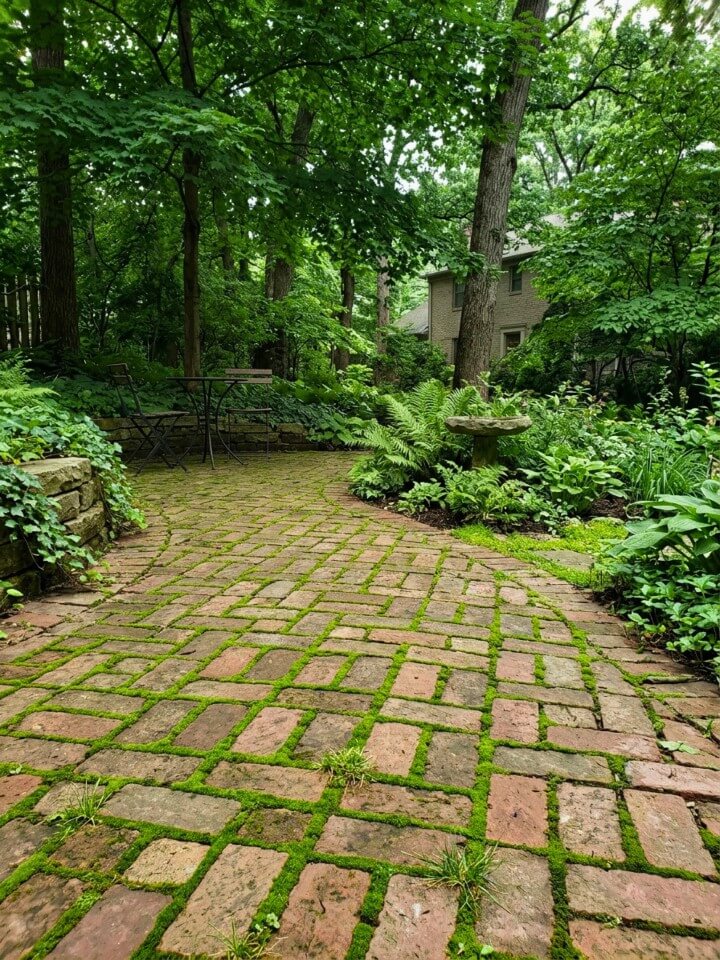 moss covered brick patio with wide joint design