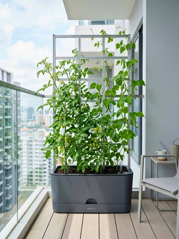 self watering expandable trellis balcony herb garden planter
